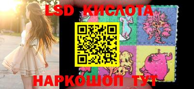 шишки Обнинск