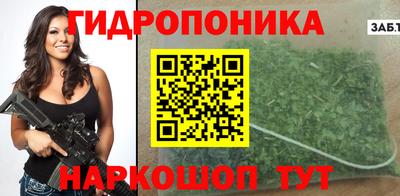 шишки Обнинск