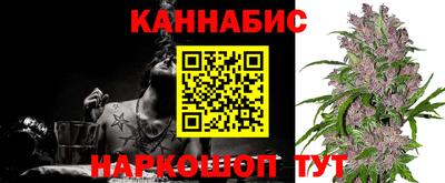 шишки Обнинск
